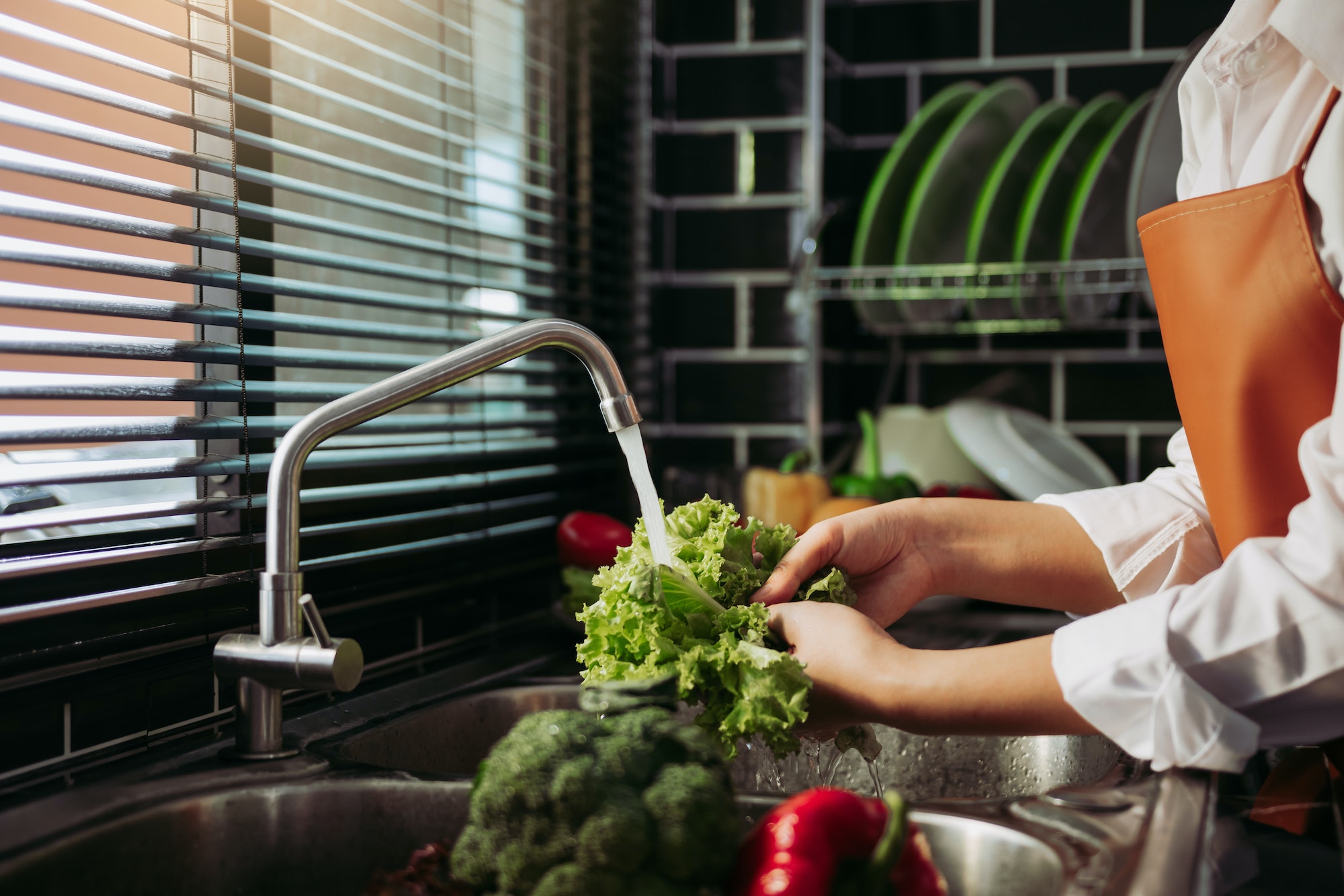 Fresh food preparation